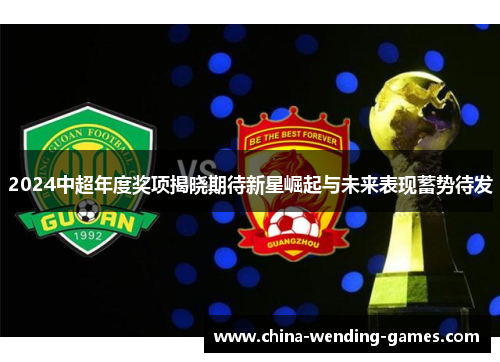 2024中超年度奖项揭晓期待新星崛起与未来表现蓄势待发