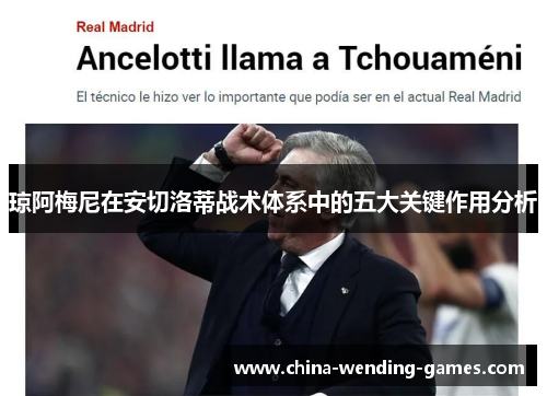 琼阿梅尼在安切洛蒂战术体系中的五大关键作用分析