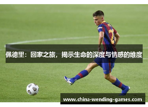 佩德里：回家之旅，揭示生命的深度与情感的维度