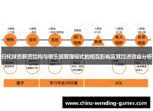 归化球员薪资结构与俱乐部管理模式的相互影响及其经济效益分析