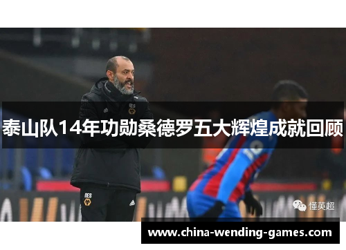 泰山队14年功勋桑德罗五大辉煌成就回顾
