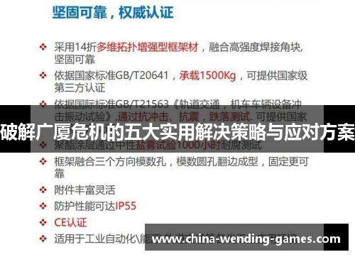 破解广厦危机的五大实用解决策略与应对方案