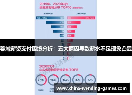 蓉城薪资支付困境分析：五大原因导致薪水不足现象凸显