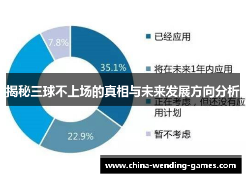 揭秘三球不上场的真相与未来发展方向分析