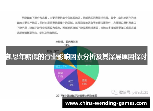 凯恩年薪低的行业影响因素分析及其深层原因探讨
