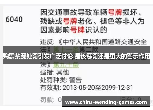 魏震禁赛处罚引发广泛讨论 是该惩罚还是更大的警示作用