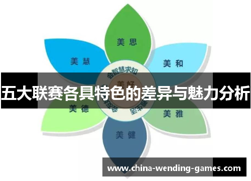 五大联赛各具特色的差异与魅力分析 五大联赛各具特色的差异与魅力分析